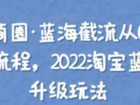 方韬电商圈·蓝海截流从0到起店实操全流程，2022淘宝蓝海截流升级玩法