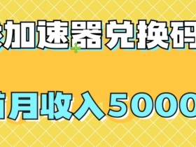 【全网首发】游戏加速器兑换码项目，首月收入5000+【揭秘】