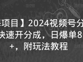 【蓝海项目】2024视频号分成计划，快速开分成，日爆单8000+，附玩法教程