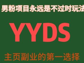 YYDS男粉项目永远是不过时玩法，主业副业的第一选择【揭秘】
